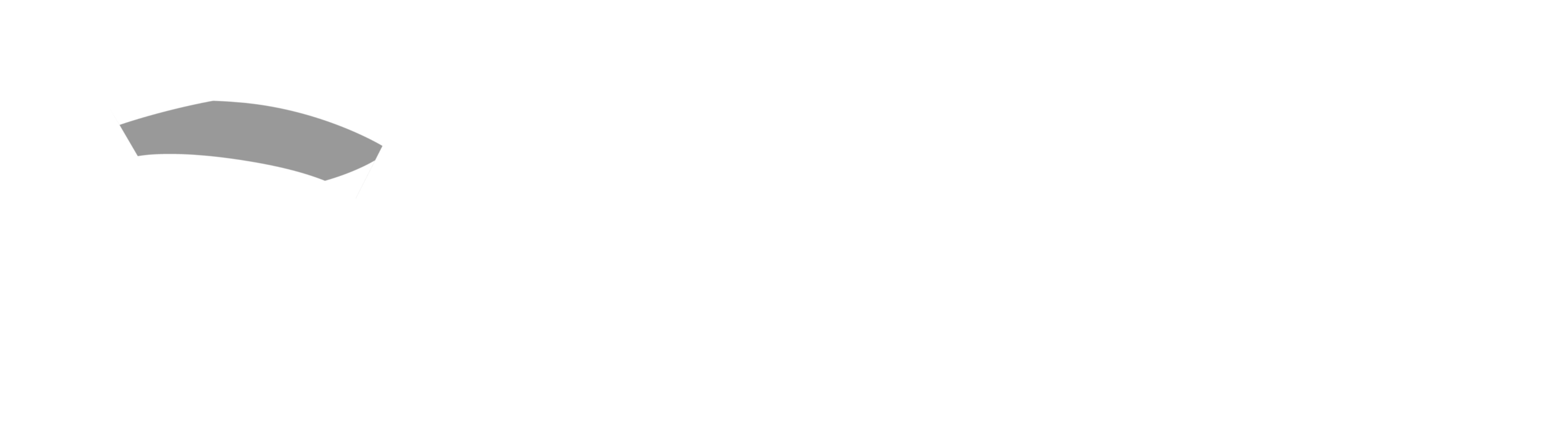 Syclone IT Solutions all white